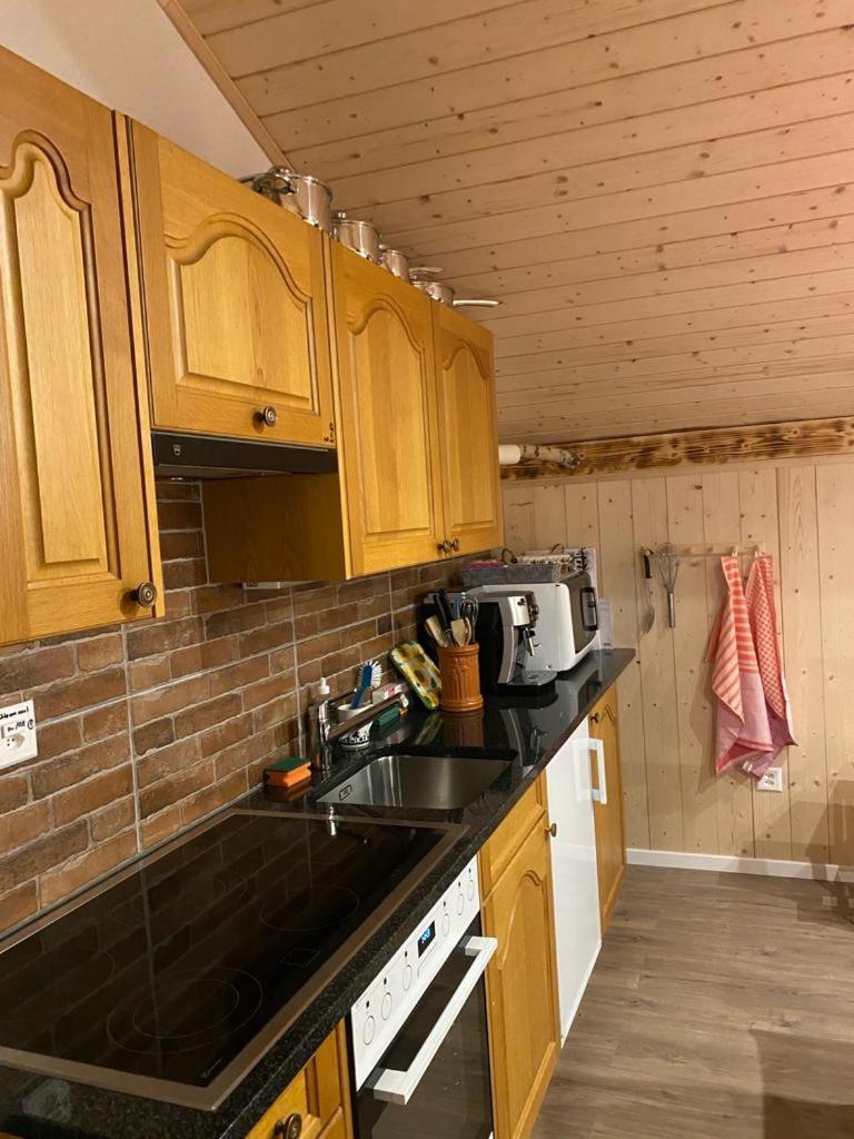 Chalet Baergstaeger Лаутербрунен Екстериор снимка